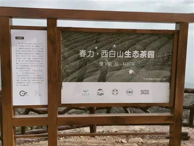 Zhejiang Chunli Tea Industry Co Ltd. impulsa a los productores de té de la mo...